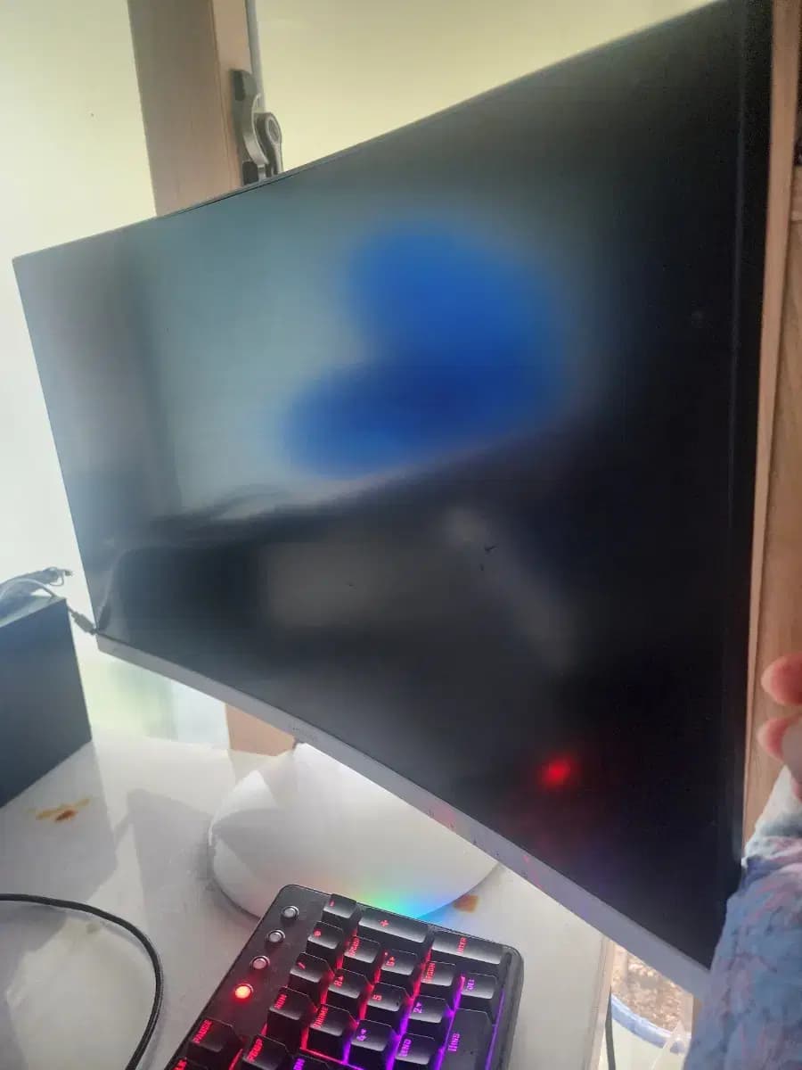 b3dfb3380db4ef1f12d01504456584b5_1739953207_8555.jpg b3dfb3380db4ef1f12d01504456584b5_1739953207_8555.jpg